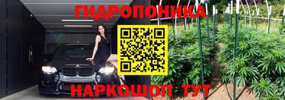 сатива Бузулук
