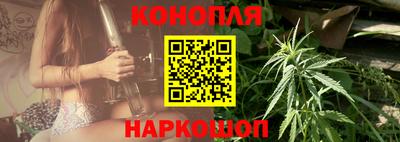 сатива Бузулук