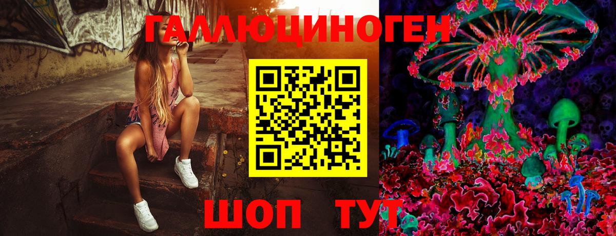 Галлюциногенные грибы Cubensis  Вход с VPN  Галлюциногенные грибы Psilocybine cubensis  Реутов 